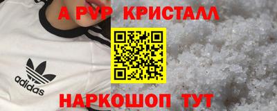 спиды Бердск