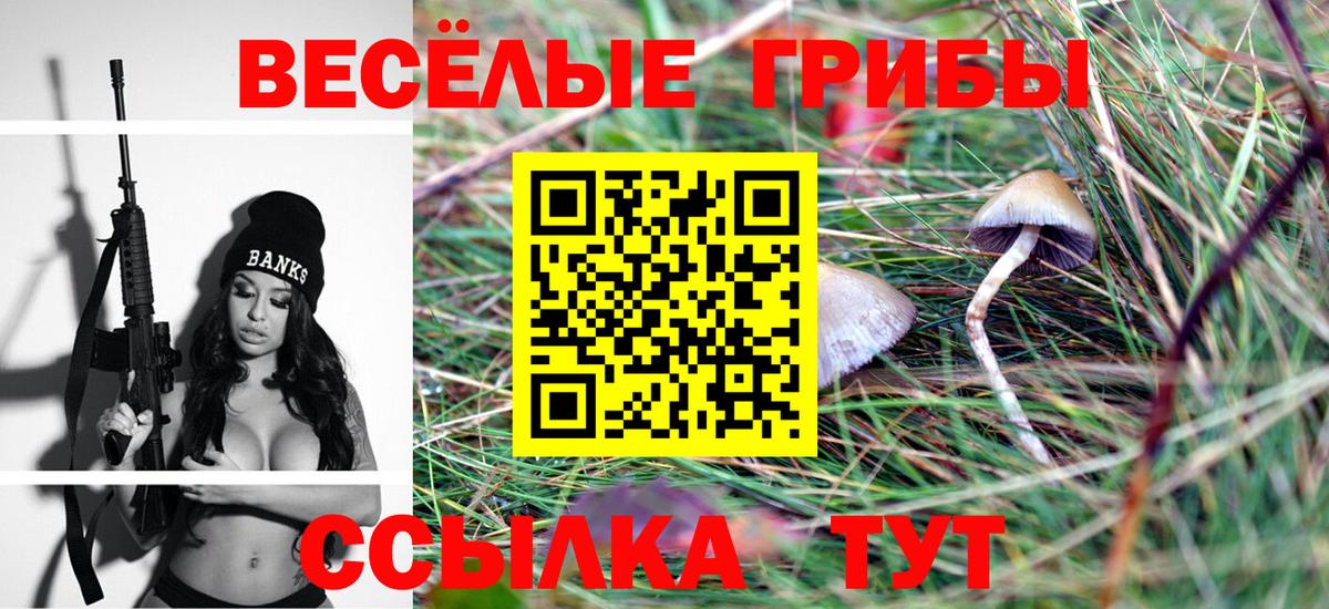 Псилоцибиновые грибы ЛСД  Вход с VPN  Владикавказ 